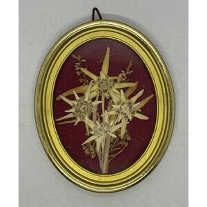 Vintage Edelweiss S.A.M. Dried Flowers Switzerland Framed Sticker EUC